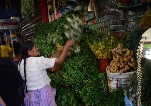 El auge de las plantas medicinales se expresa en un intenso comercio, mayor oferta y en el creciente interés de la población por adquirir y conocer las bondades de hojas, semillas y frutos que pueden sanar algunas dolencias. - Fernando Balderrama Periodista Invitado