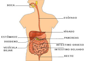 automedicacion