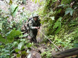 Voceros del Ejército dijeron que el escondite de medicamentos del Eln fue ubicado en zona rural del municipio de Mallama. Añadieron que en otras operaciones han incautado abundante material de guerra.