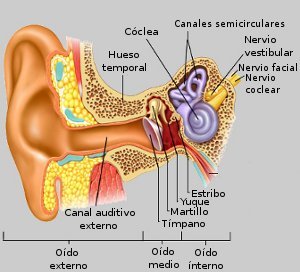 automedicacion
