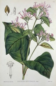 Quinine
