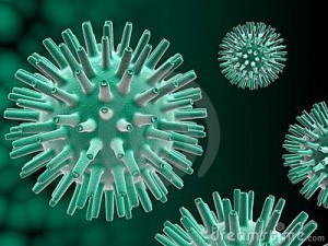 herpes1