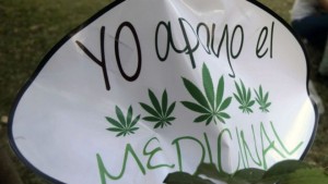 151222181657_sp_medicinal_marijuana_624x351_afp_nocredit