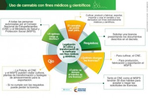 151222184221_sp_medical_cannabis_624x415_minsaludcolombia_nocredit