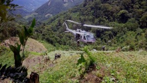 EEUU propició plantaciones de coca