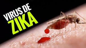 zika_2