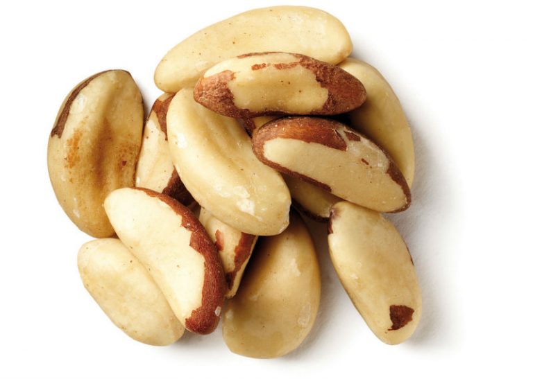 Brazil-Nut-Castanha-do-Para-