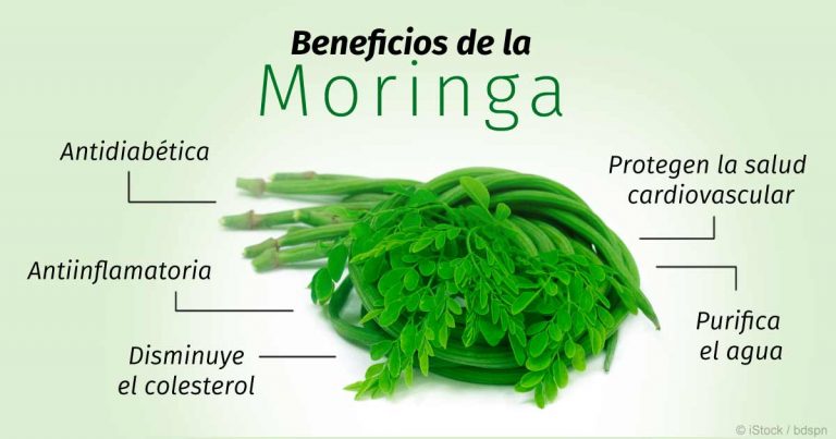 beneficios-de-la-moringa-fb