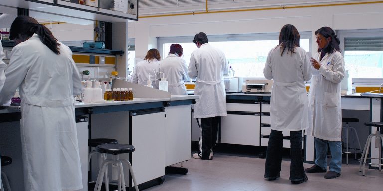 Investigadores
