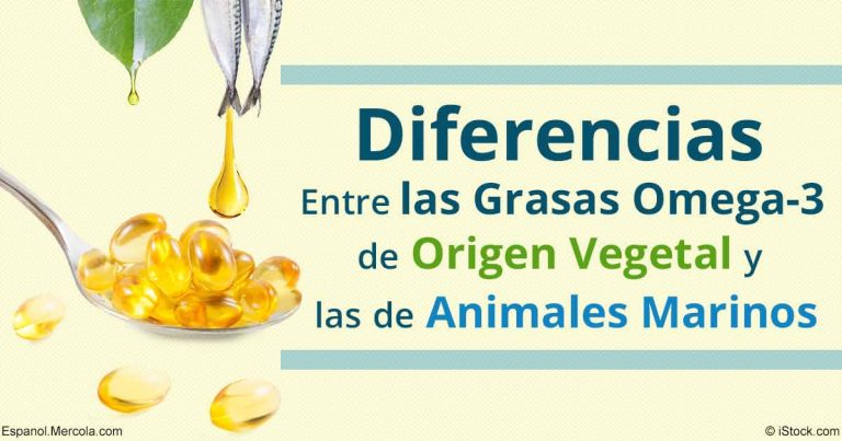 diferencias-grasas-omega-3-origen-vegetal-y-animales-fb