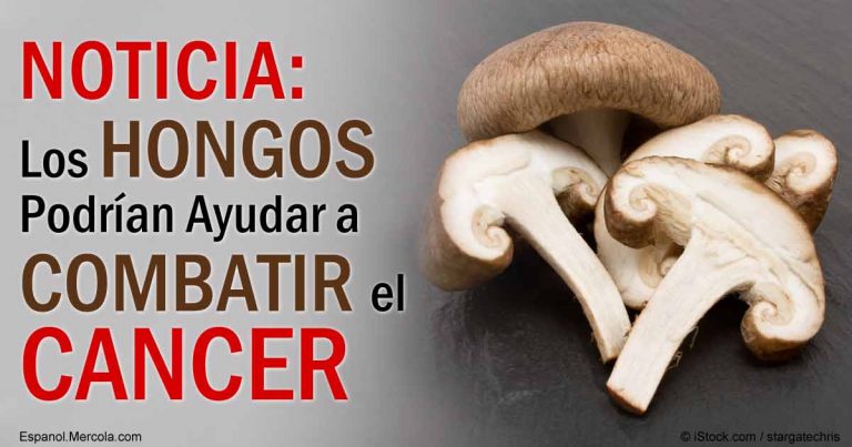 los-hongos-podrian-ayudar-a-combatir-el-cancer-fb