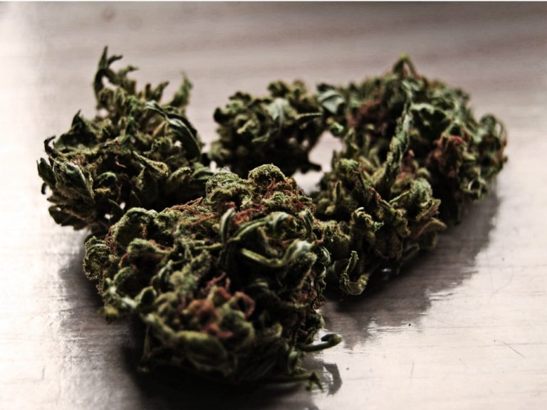 marihuana1