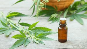 1124_cannabis_aceite_1280
