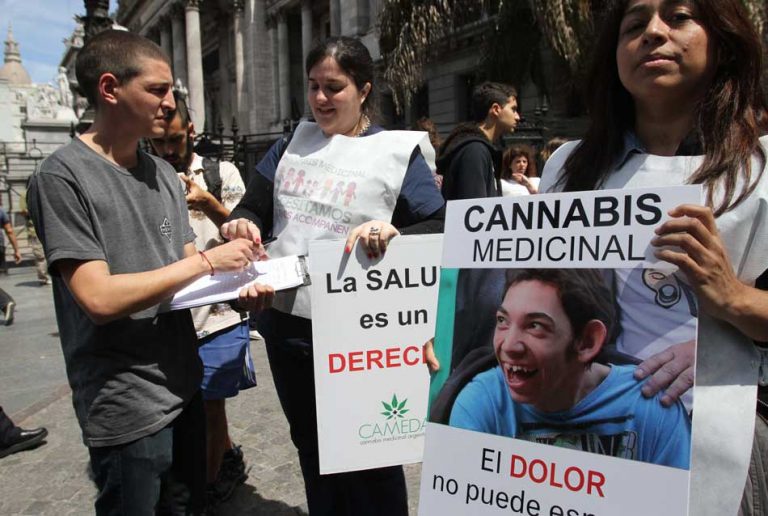 Cannabis