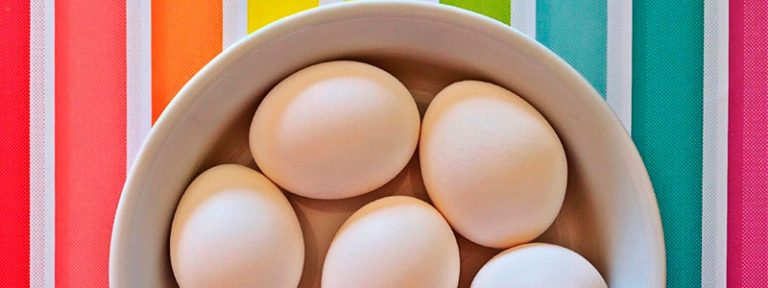 HEAD_huevos0716-1