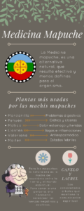 medicina-mapuche