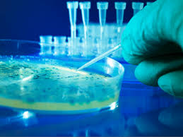 biotecnologicos