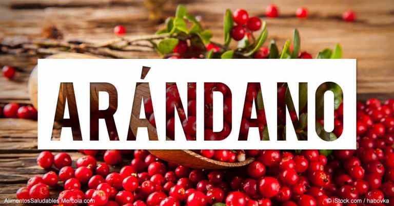 arandano-alimentos-saludables-fb