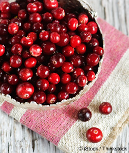 Recetas Arandanos