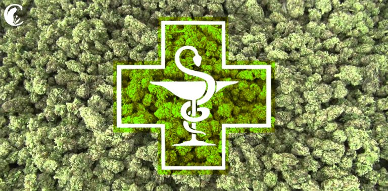 1485853585-cannabis_farmacia