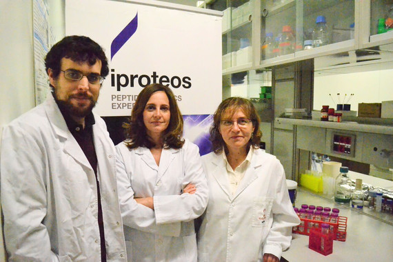 Estudian-nuevos-farmacos-basados-en-peptidos-para-tratar-la-aterosclerosis_image_380