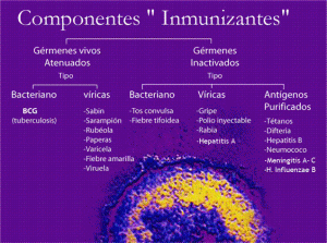 Vacunas componentes
