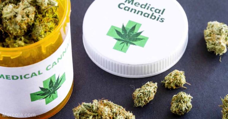 medical-cannabis-fb