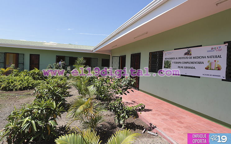 medicina_natural