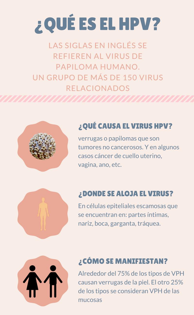 hpv que es 