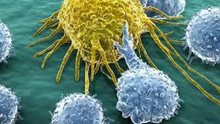 Cancer-Oncologia-Medicamentos-Farmacologia-Salud_218488778_34972460_1024x576