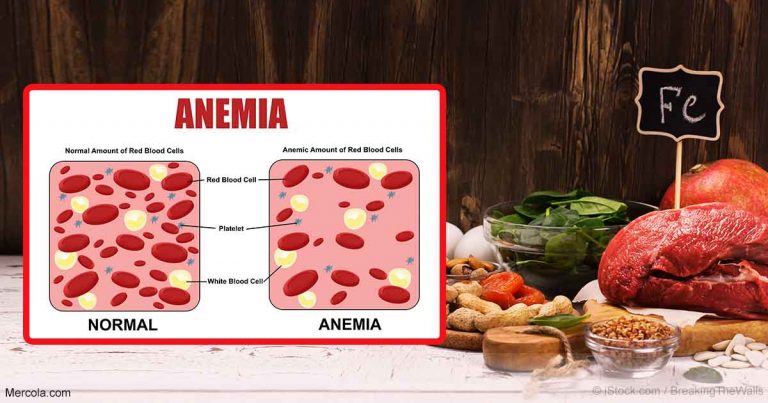 anemia-iron-rich-foods-fb