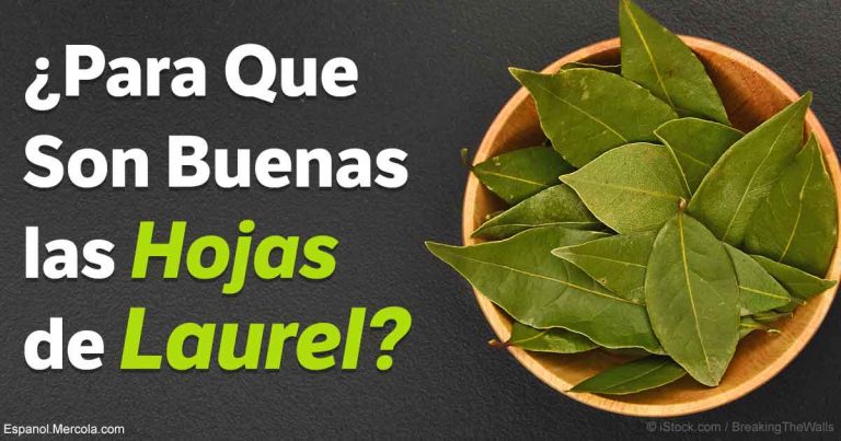 para-que-buenas-hojas-de-laurel-fb
