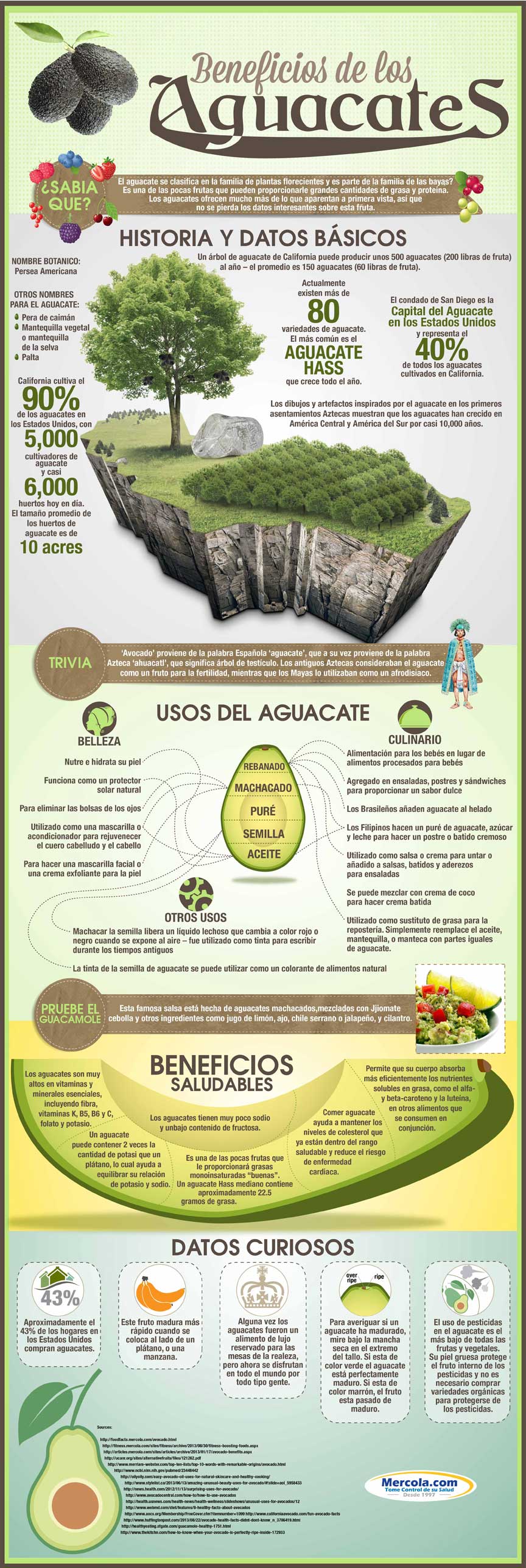 Beneficios del Aguacate