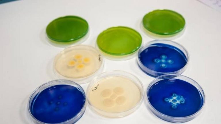 superbacterias-kJRH-1240x698@abc-kbFE-1240x698@abc