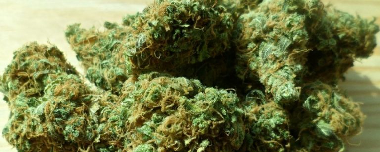 cannabis-448661_1280