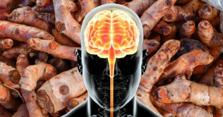 cerebro-curcuma
