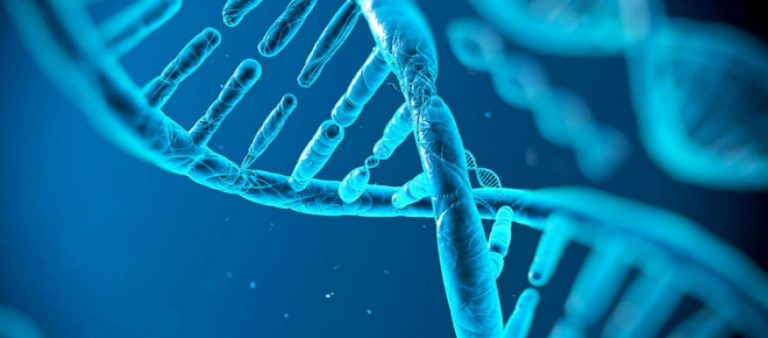 estudio-demuestra-que-una-proteina-repara-adn-de-celulas-tumorales-commx_1764159