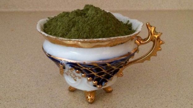 Kratom triturado.