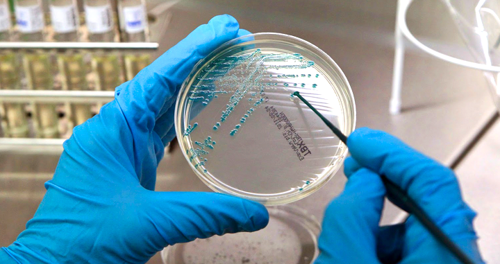 Investigación oncológica / EFE