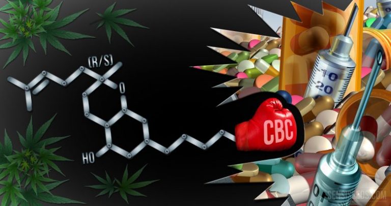 cannabicromeno-780x411