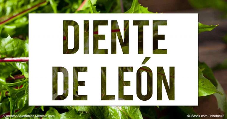 diente-de-leon