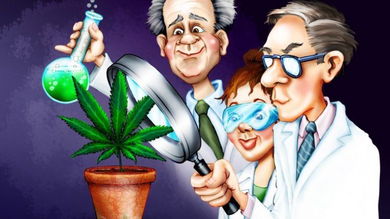 pot-marijuana-science-cartoon-hbtv-hemp-beach-tv-780x438