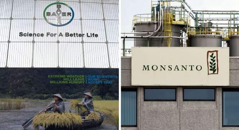 Bayer-Monsanto-Getty