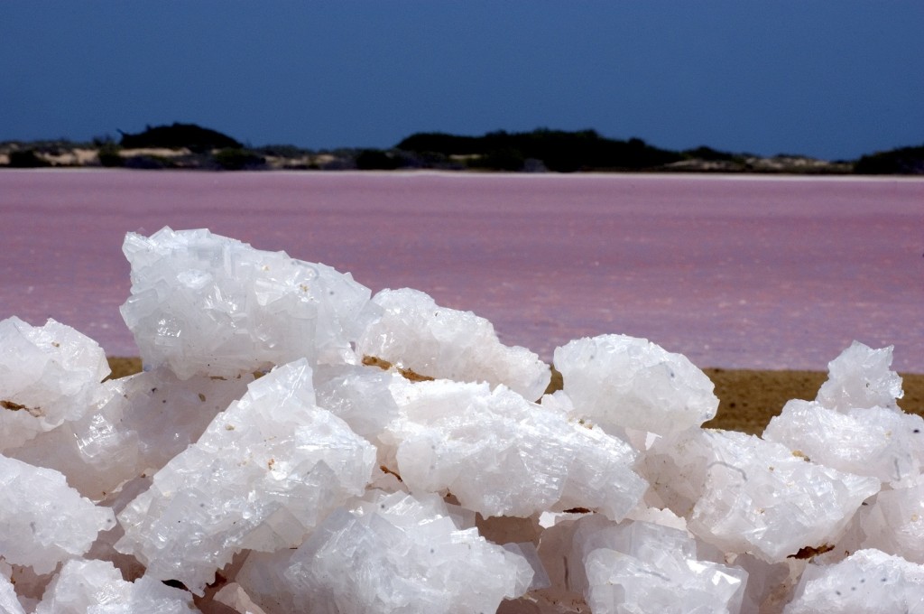 Las Salinas de Cumaragua