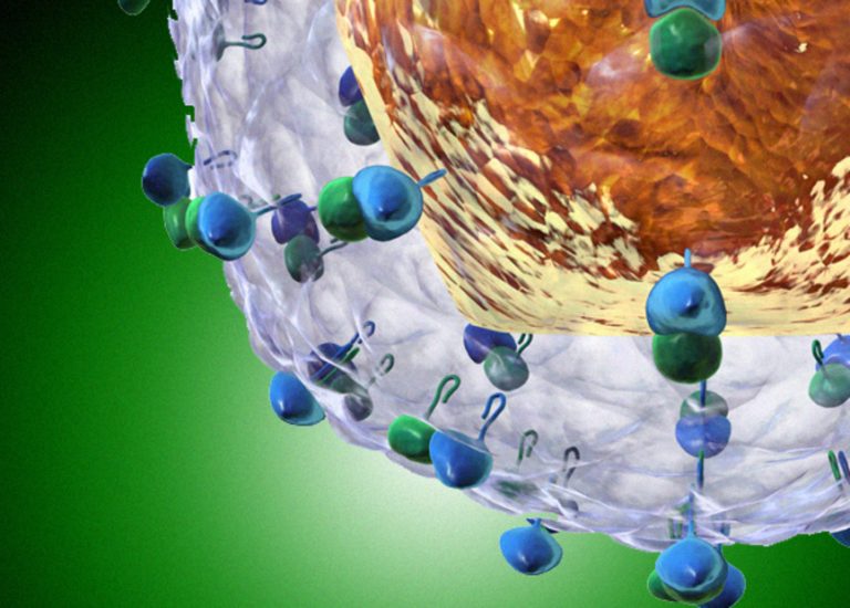 hepatitis virus