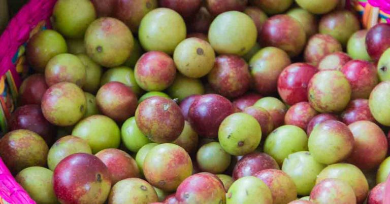 05-21-what-is-camu-camu-good-for-fb