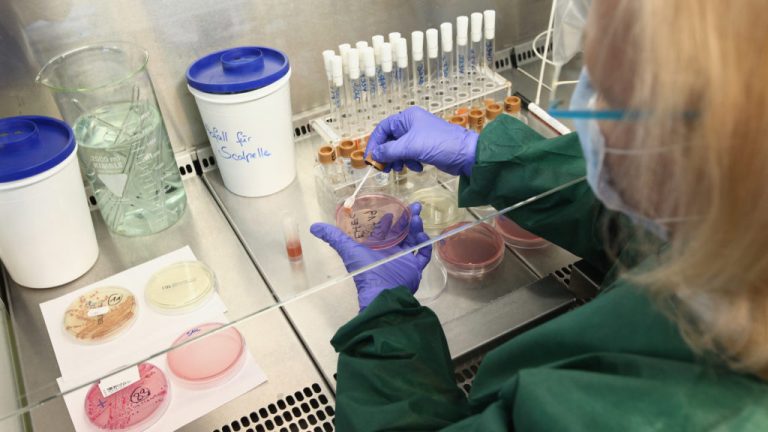 Health Authorities Seek Clues To EHEC Outbreak
