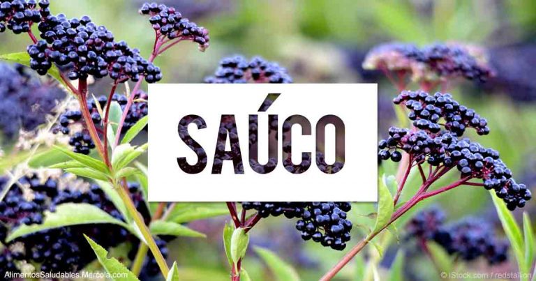 sauco-fb