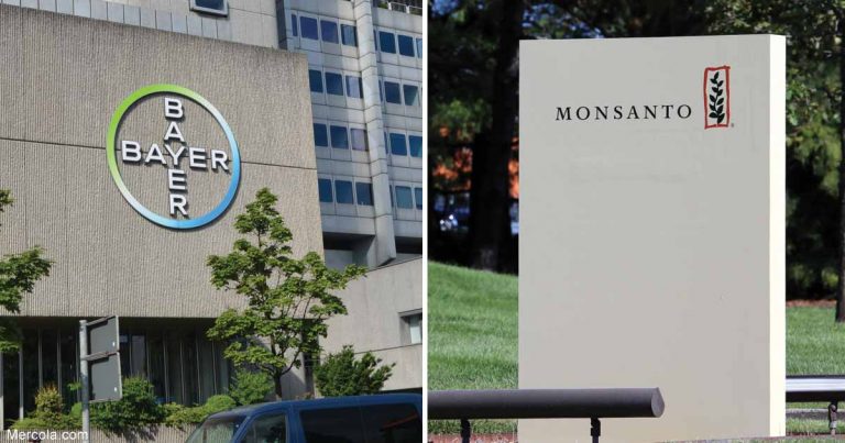 06-02-seeds-and-pesticides-company-merger-fb