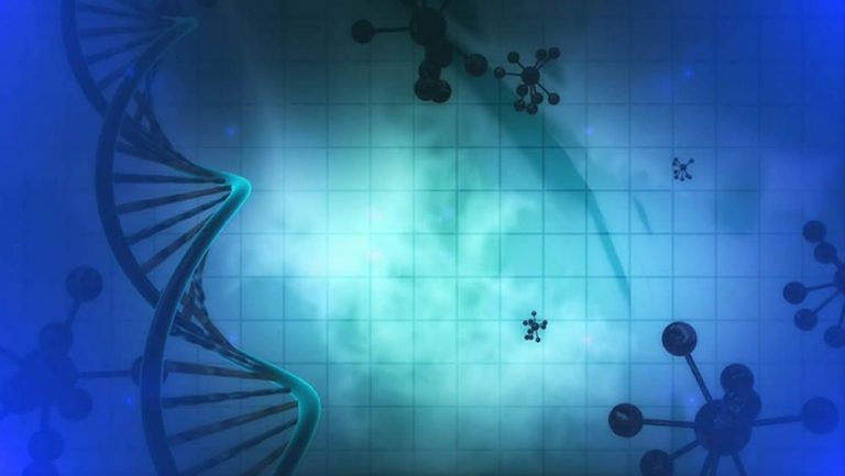 nuevo-sistema-basado-en-analisis-de-datos-para-tratamientos-individualizados-contra-el-cancer_15_1000x564
